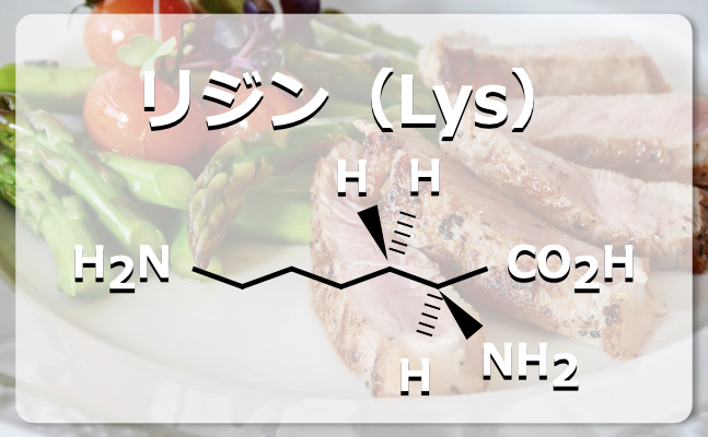 リジンの構造式