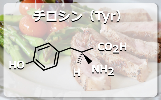 【非必須アミノ酸10種類】集中力向上や白髪に効果的なチロシンとは - 生命科学が教える俺のメシハック!!!