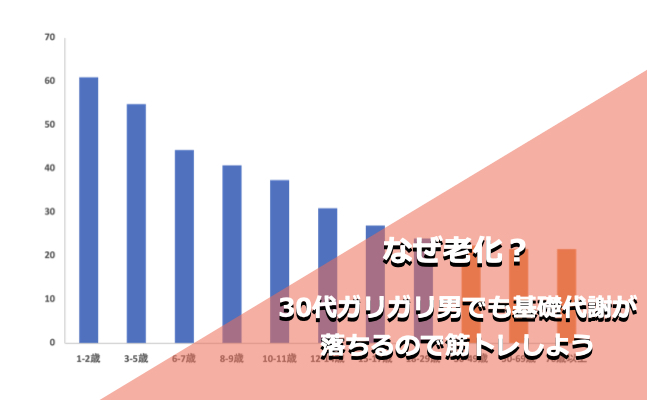 なぜ老化？30代ガリガリ男でも基礎代謝が落ちるので筋トレしよう